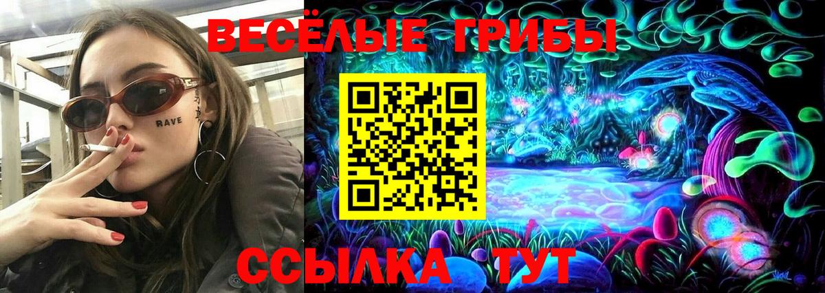 Псилоцибиновые грибы Psilocybine cubensis Шали